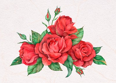 Vector red rose drawing of one continuous line Color illustration of  flowers in the style of one line art 24310092 Vector Art at Vecteezy