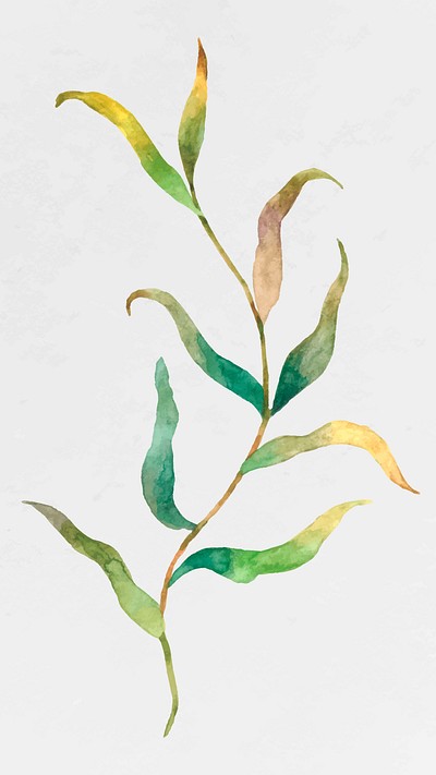 Watercolor leaves on branch vector