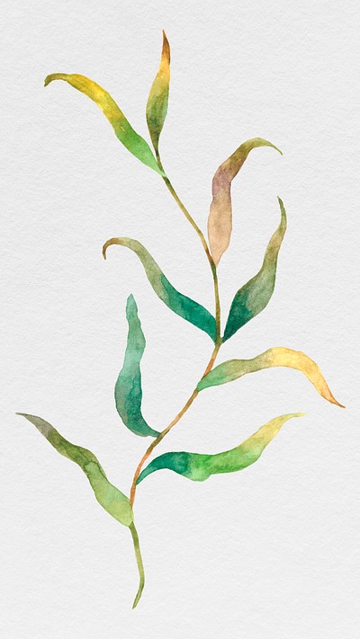 Watercolor leaves on branch illustration