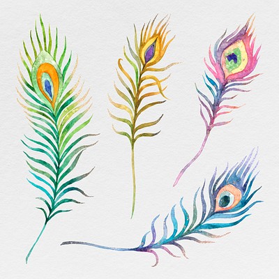 POAURA Paintings for Wall Decorations Peacock Feather India | Ubuy
