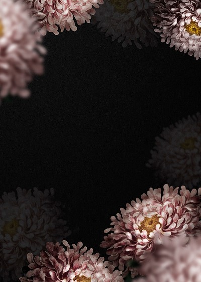 Floral wedding card aster border | Free Photo - rawpixel