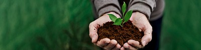 Hand holding young plant for world earth day banner
