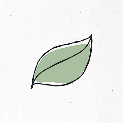 green leaf outline png