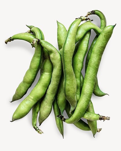 Yardlong bean vegetable isolated image