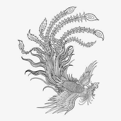 Dragon Phoenix Tattoo Royalty-Free Images, Stock Photos & Pictures |  Shutterstock