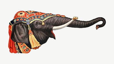 animal sauteur - éléphant
