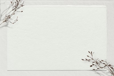 Flower Border, Off-white Paper Background 