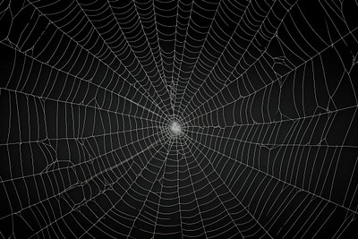 Spider web backgrounds concentric complexity | Premium Photo - rawpixel