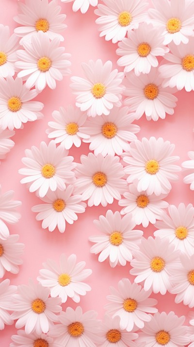 Wallpaper pattern flower daisy backgrounds. | Premium Photo - rawpixel