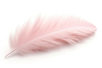 Premium Photo  Fluffy pink feathers background texture