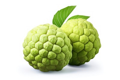 Custard apple fruit plant food. 