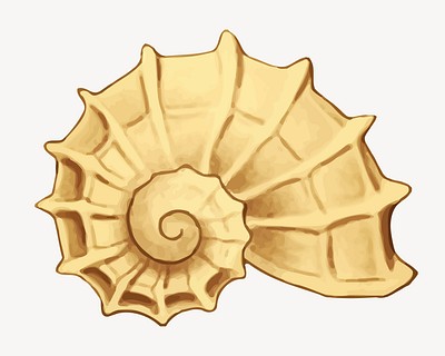 Shell clipart vector. Free public domain CC0 image.