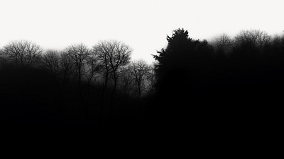 creepy forest silhouette