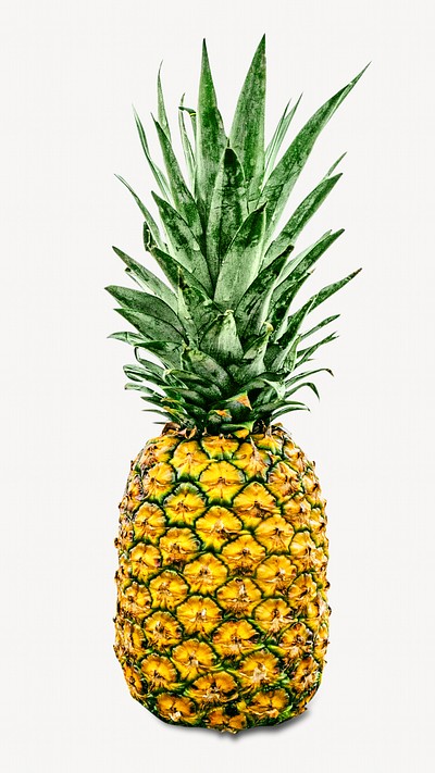 Fresh pineapple, isolated design