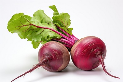 Beetroot vegetable plant food. 