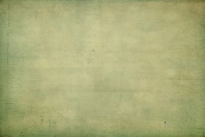 Paper green backgrounds canvas