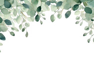 PNG Eucalyptus leaves backgrounds outdoors | Premium PNG - rawpixel