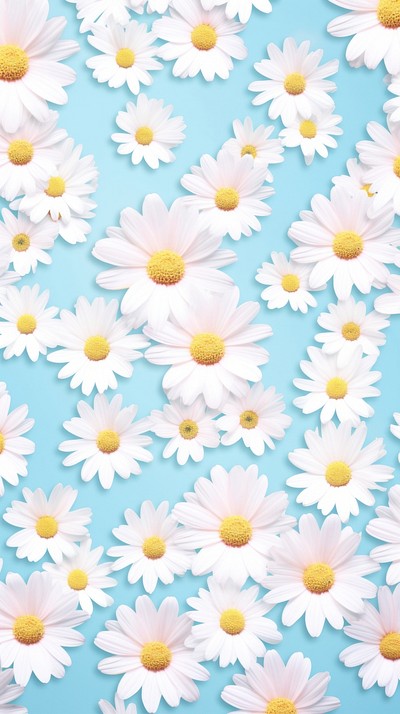 Daisy flower field backgrounds wallpaper | Premium Photo Illustration ...