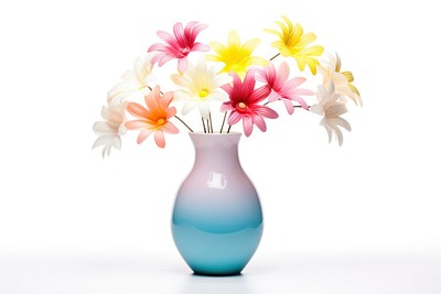 Colorful flower vase decoration plant white background. 