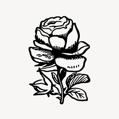 Pink rose - •Art by Keesha• - Drawings & Illustration, Flowers, Plants, &  Trees, Flowers, Flowers I-Z, Roses - ArtPal