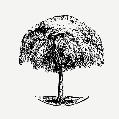 Tree sticker, black ink drawing | Premium PSD Illustration - rawpixel