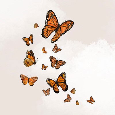 Download A Colorful Collage With A Butterfly And Cactus Wallpaper