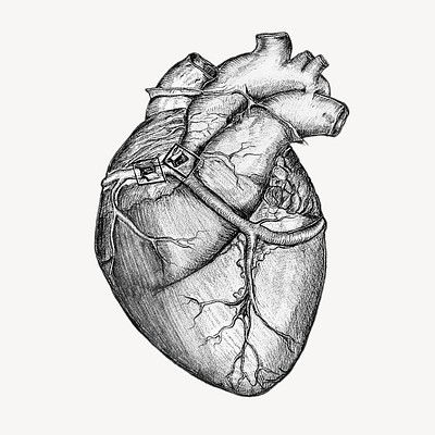 Realistic heart sticker, medical illustration | Premium PSD ...