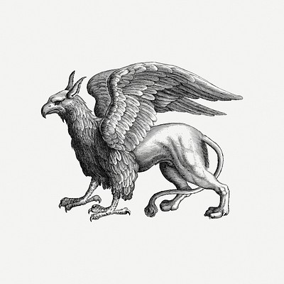 mythical griffin drawing