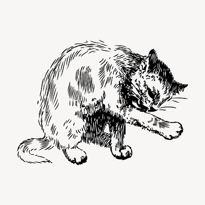 Cat drawing, vintage animal illustration | Free Vector - rawpixel