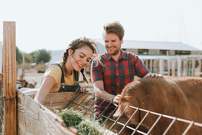 Happy couple feeding cow | Premium Photo - rawpixel