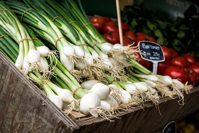 Spring onion | Free Photo - rawpixel