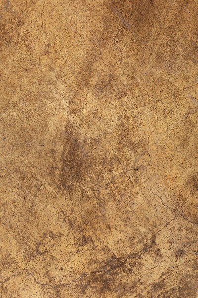 Grunge brown concrete textured background | Premium Photo - rawpixel