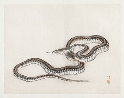 Snake Kōno Bairei (1844-1895). Digitally | Free Photo Illustration ...