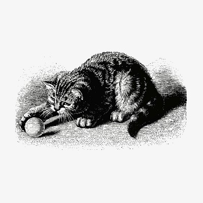 Cat policeman sketch engraving Royalty Free Vector Image