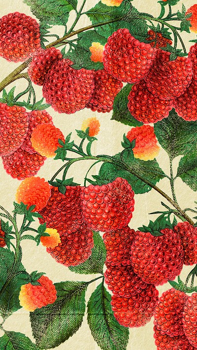 Raspberry phone wallpaper, red vintage | Premium Photo Illustration