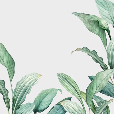 Hand drawn tropical leaves on a white | Premium Vector - rawpixel