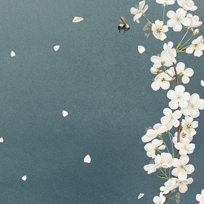Cherry blossom flower border frame | Premium PSD - rawpixel