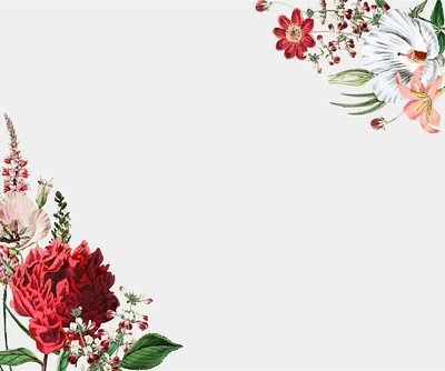 Floral Frame Png Blooming Flowers Free Png Rawpixel