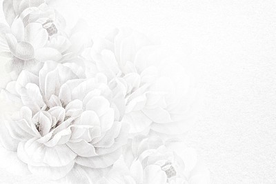 Flower background white border vector, | Premium Vector - rawpixel