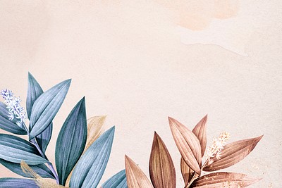 Cute Aesthetic Leaf Wallpapers  Top Free Cute Aesthetic Leaf Backgrounds   WallpaperAccess
