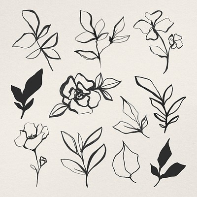 Flower line art illustration psd | Premium PSD - rawpixel