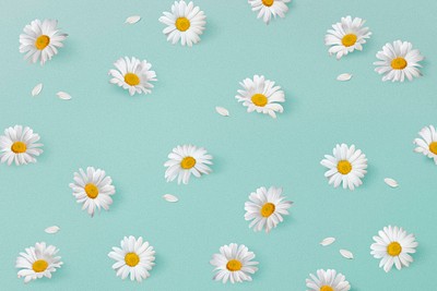 White daisies pattern background, botanical | Premium PSD - rawpixel