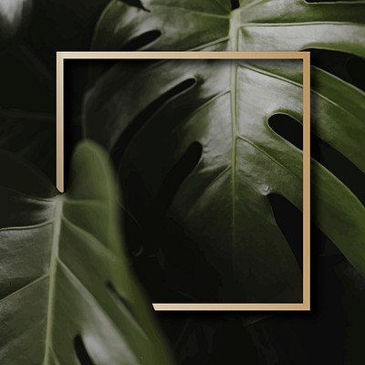 Golden frame tropical background vector | Premium Vector - rawpixel