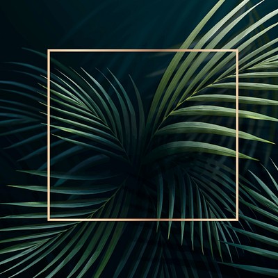 Square golden frame tropical background | Premium Vector - rawpixel