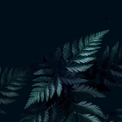 Tropical fern leaves background vector | Premium Vector - rawpixel