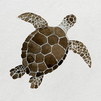 Watercolor Painted Sea Turtle White 