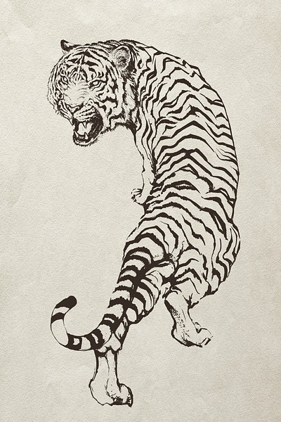 Head of a roaring tiger hand drawn sketch Vector Image