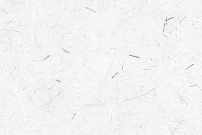 White mulberry paper background vector | Premium Vector - rawpixel