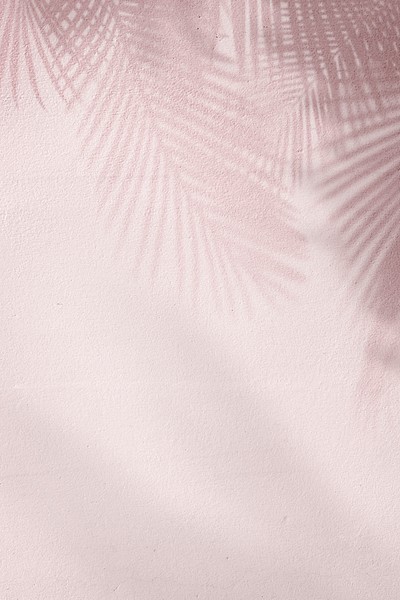 Pink background with palm tree | Premium Photo - rawpixel