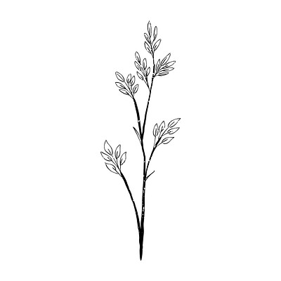Illustration of plant | Free Vector Illustration - rawpixel